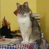 Отзыв от Нелли Фетисова